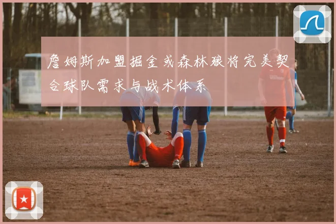 詹姆斯加盟掘金或森林狼将完美契合球队需求与战术体系